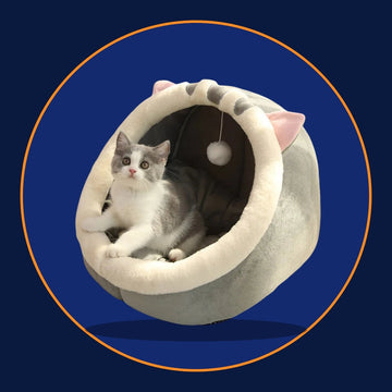 Cozy Foldable Cat & Small Dog Bed