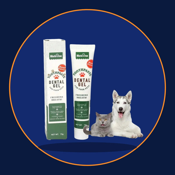 Zahnpasta für Hunde & Katzen – Rind- oder Vanillegeschmack