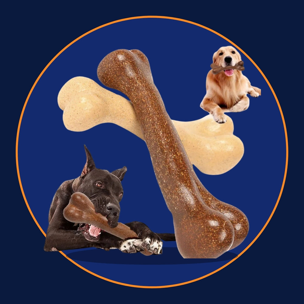 Bite-Resistant Dog Chew Bone for Teething Puppies