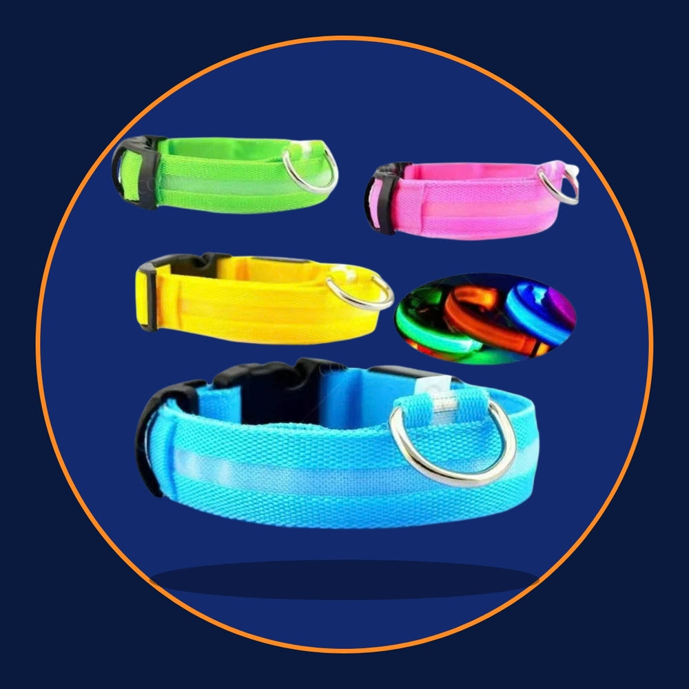 Rechargeable LED Dog Collar – Glow in the Dark Safety Collar
