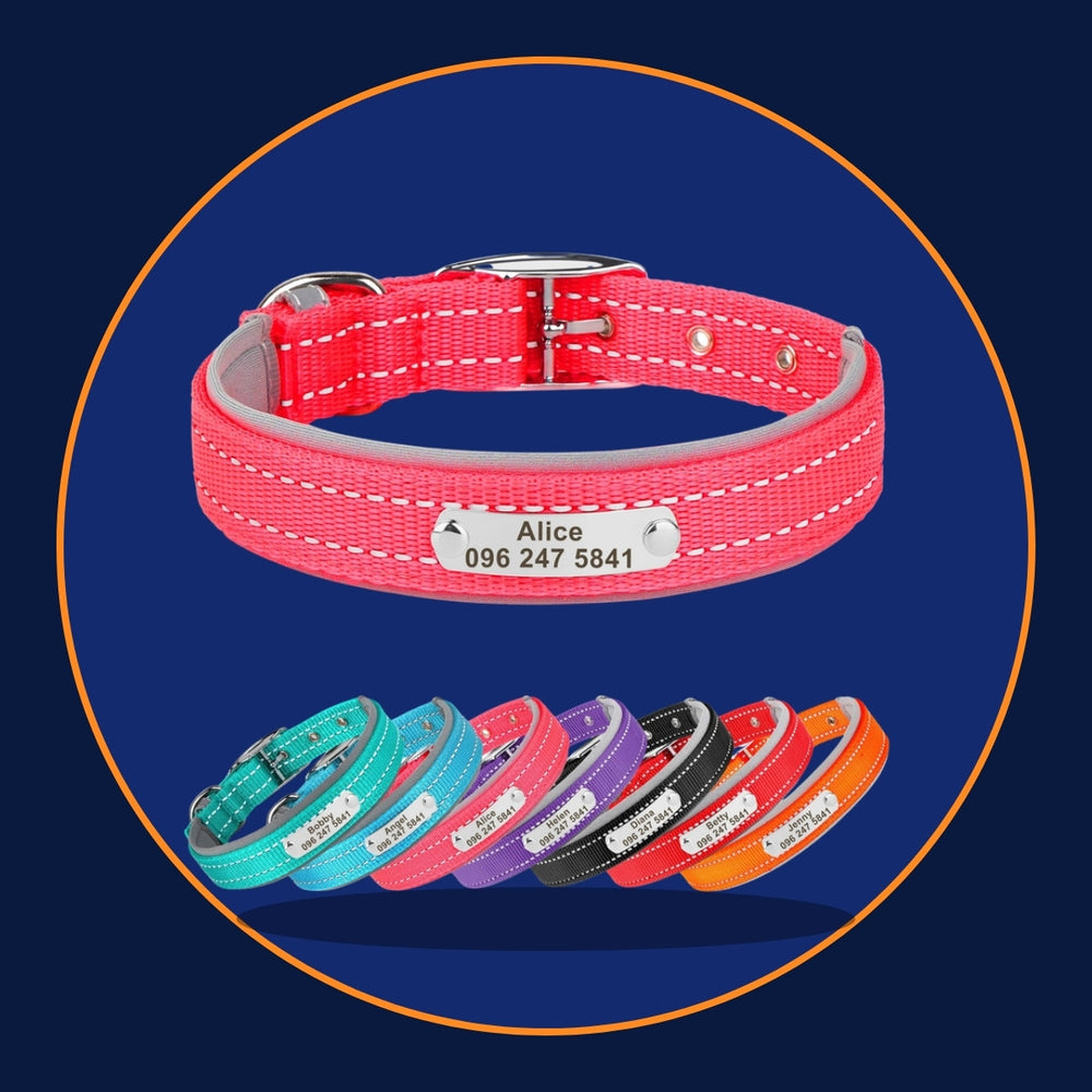 Personalisiertes reflektierendes Hundehalsband mit gravierter Namensplakette