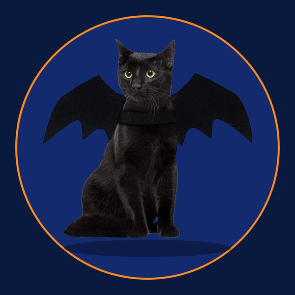 Halloween Bat Wings Costume for Cats & Small Dogs