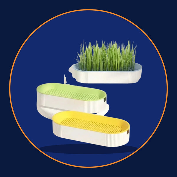 Soil-Free Hydroponic Cat Grass Planter