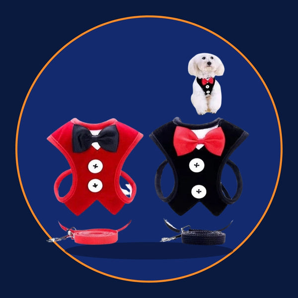 Tuxedo Bow Tie Harness & Leash Set for Small Dogs and Cats